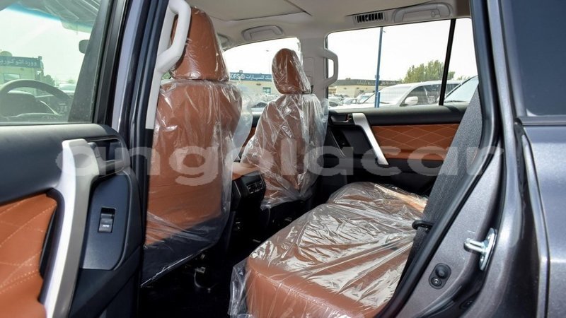 Big with watermark 7