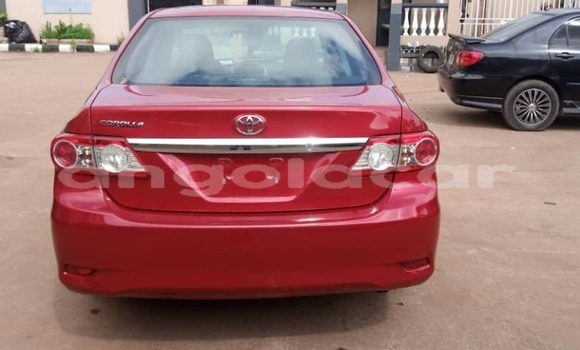 Buy Used Toyota Corolla Red Car in Luanda in Luanda Province Buy Used Toyota Corolla Red Car in Luanda in Luanda Province