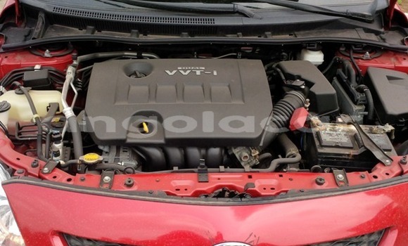 Buy Used Toyota Corolla Red Car in Luanda in Luanda Province Buy Used Toyota Corolla Red Car in Luanda in Luanda Province