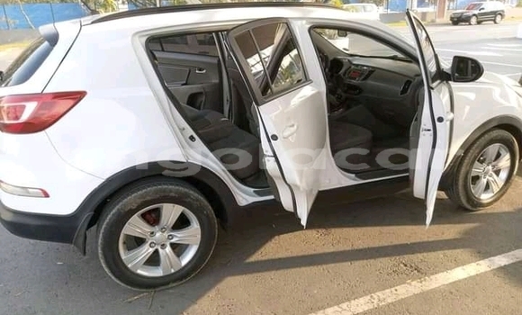 Buy Used Kia Sportage White Car in Luanda in Luanda Province