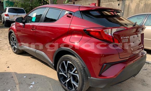 Buy Used Toyota C-HR Red Car in Luanda in Luanda Province Buy Used Toyota C-HR Red Car in Luanda in Luanda Province