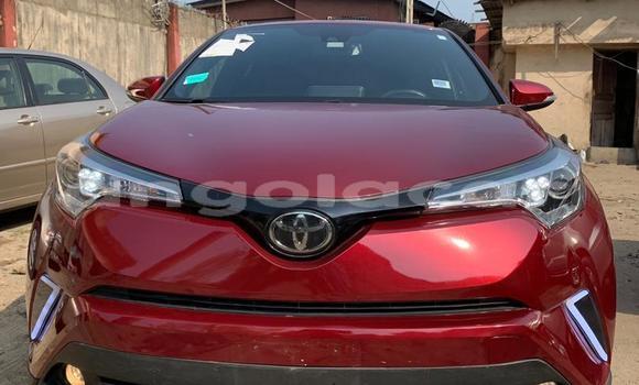 Buy Used Toyota C-HR Red Car in Luanda in Luanda Province Buy Used Toyota C-HR Red Car in Luanda in Luanda Province