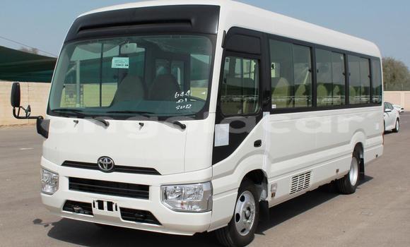 Buy Used Toyota Coaster White Car in Luanda in Luanda Province Buy Used Toyota Coaster White Car in Luanda in Luanda Province