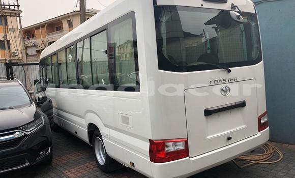 Buy Used Toyota Coaster White Car in Luanda in Luanda Province Buy Used Toyota Coaster White Car in Luanda in Luanda Province