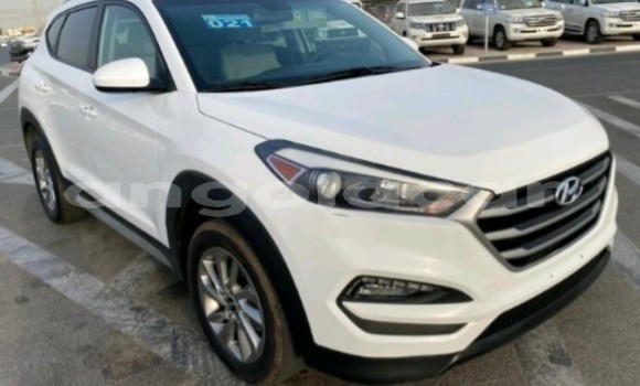 Buy Used Hyundai Tucson White Car in Luanda in Luanda Province Buy Used Hyundai Tucson White Car in Luanda in Luanda Province