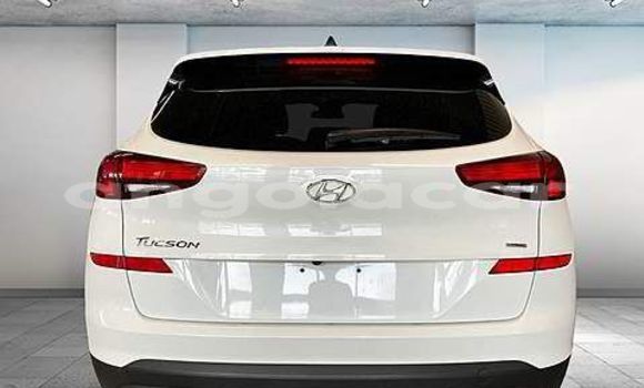 Buy Used Hyundai Tucson White Car in Luanda in Luanda Province Buy Used Hyundai Tucson White Car in Luanda in Luanda Province