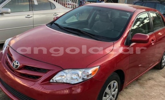 Buy Used Toyota Corolla Red Car in Luanda in Luanda Province Buy Used Toyota Corolla Red Car in Luanda in Luanda Province