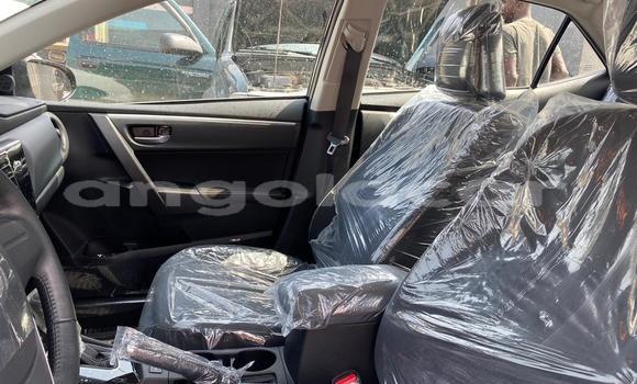 Buy New Toyota Corolla Black Car in Luanda in Luanda Province Buy New Toyota Corolla Black Car in Luanda in Luanda Province