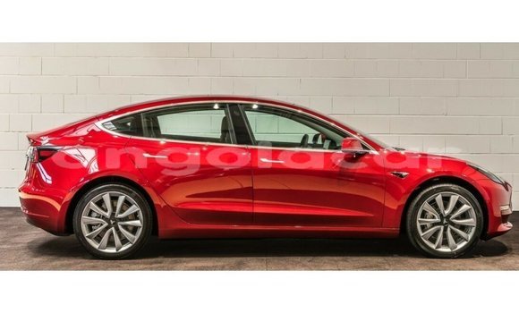 Buy Import Tesla Model 3 Red Car in Import - Dubai in Bengo Province Buy Import Tesla Model 3 Red Car in Import - Dubai in Bengo Province