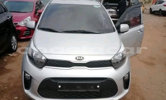 Comprar Usado Kia Picanto Outro Carro em Luanda em Luanda Province
