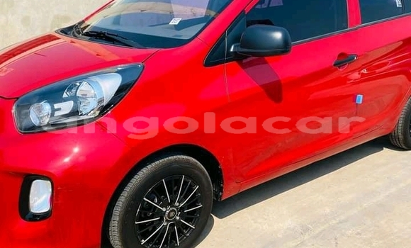 Buy Used Kia Picanto Red Car in Luanda in Luanda Province Buy Used Kia Picanto Red Car in Luanda in Luanda Province