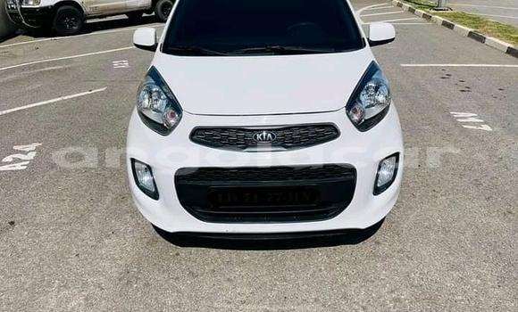 Comprar Usado Kia Picanto Branco Carro em Luanda em Luanda Province Comprar Usado Kia Picanto Branco Carro em Luanda em Luanda Province