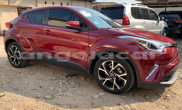 Buy Used Toyota C-HR Red Car in Luanda in Luanda Province