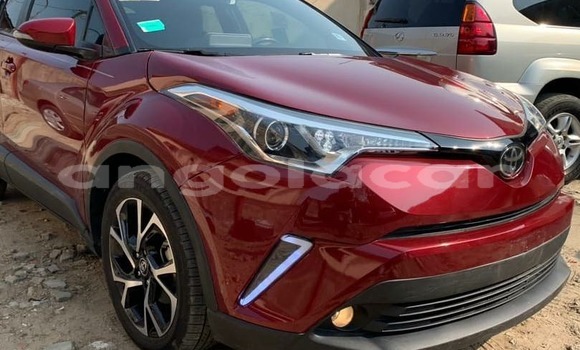 Buy Used Toyota C-HR Red Car in Luanda in Luanda Province Buy Used Toyota C-HR Red Car in Luanda in Luanda Province