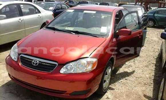 Acheter Occasion Voiture Toyota Corolla Rouge à Luanda, Province de Luanda Acheter Occasion Voiture Toyota Corolla Rouge à Luanda, Province de Luanda