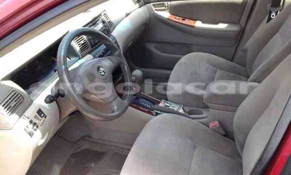 Comprar Usado Toyota Corolla Vermelho Carro em Luanda em Luanda Province Comprar Usado Toyota Corolla Vermelho Carro em Luanda em Luanda Province