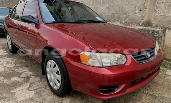 Comprar Usado Toyota Corolla Marrom Carro em Luena em Moxico Comprar Usado Toyota Corolla Marrom Carro em Luena em Moxico