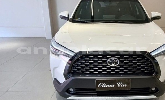 Buy Used Toyota Corolla White Car in Luanda in Luanda Province Buy Used Toyota Corolla White Car in Luanda in Luanda Province