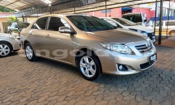Buy Used Toyota Corolla Other Car in Luanda in Luanda Province Buy Used Toyota Corolla Other Car in Luanda in Luanda Province