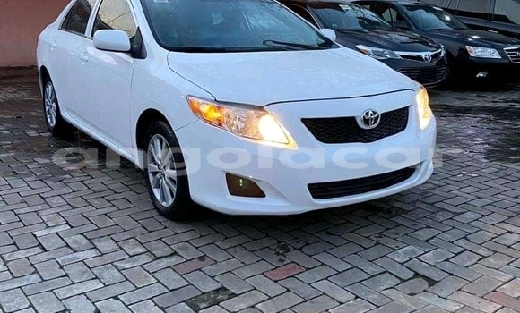 Comprar Usado Toyota Corolla Branco Carro em Luena em Moxico