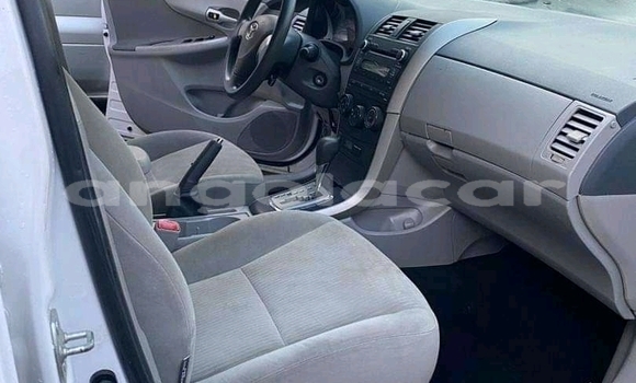 Buy Used Toyota Corolla White Car in Luena in Moxico Buy Used Toyota Corolla White Car in Luena in Moxico