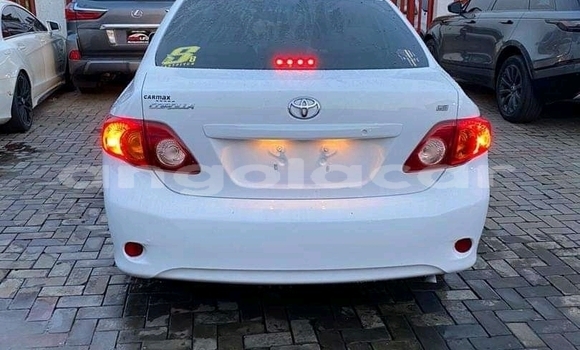 Buy Used Toyota Corolla White Car in Luena in Moxico Buy Used Toyota Corolla White Car in Luena in Moxico