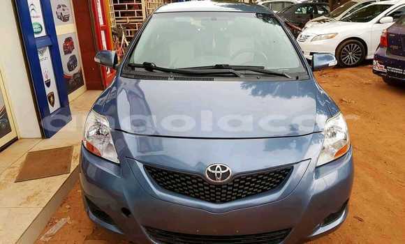 Buy Used Toyota Yaris Blue Car in Luena in Moxico Buy Used Toyota Yaris Blue Car in Luena in Moxico