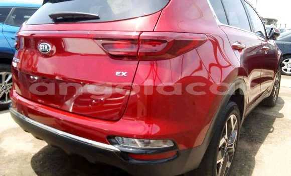 Comprar Usado Kia Sportage Vermelho Carro em Luena em Moxico Comprar Usado Kia Sportage Vermelho Carro em Luena em Moxico