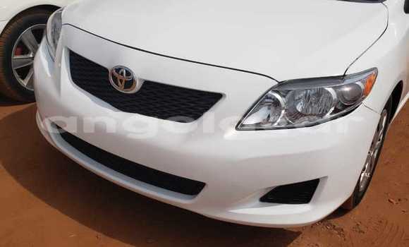 Acheter Occasion Voiture Toyota Corolla Autre à Luanda, Province de Luanda