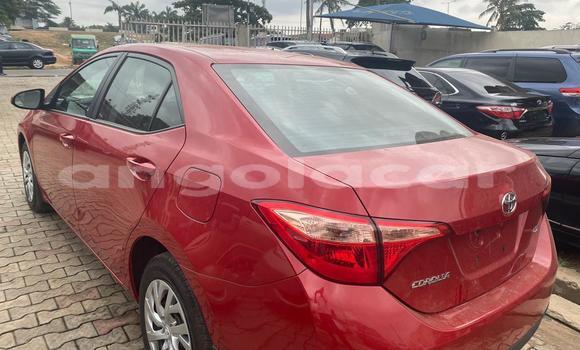 Buy Used Toyota Corolla Red Car in Luanda in Luanda Province Buy Used Toyota Corolla Red Car in Luanda in Luanda Province