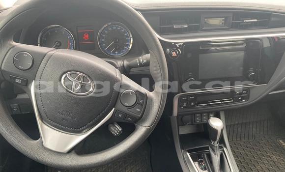 Buy Used Toyota Corolla Red Car in Luanda in Luanda Province Buy Used Toyota Corolla Red Car in Luanda in Luanda Province