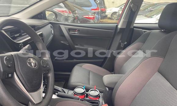 Buy Used Toyota Corolla Red Car in Luanda in Luanda Province Buy Used Toyota Corolla Red Car in Luanda in Luanda Province