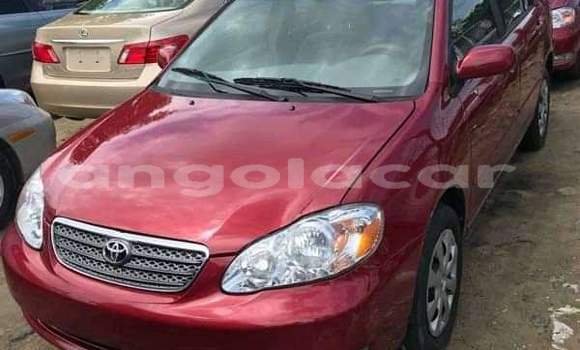 Buy Used Toyota Corolla Red Car in Luanda in Luanda Province Buy Used Toyota Corolla Red Car in Luanda in Luanda Province