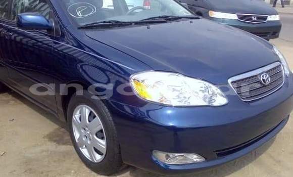 Buy Used Toyota Corolla Blue Car in Luanda in Luanda Province