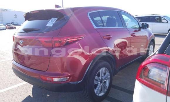 Buy Used Kia Sportage Red Car in Luanda in Luanda Province Buy Used Kia Sportage Red Car in Luanda in Luanda Province
