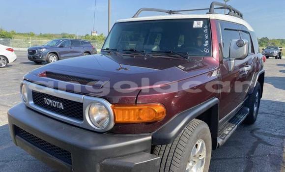 Buy Used Toyota FJ Cruiser Other Car in Luanda in Luanda Province