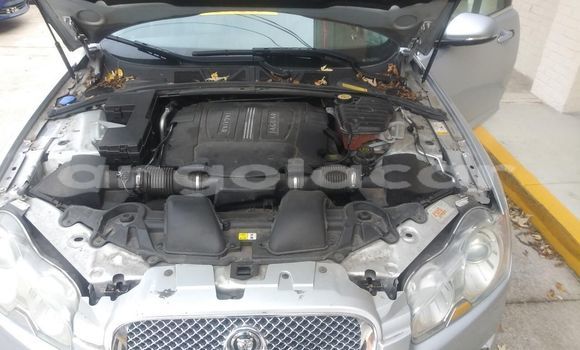 Buy Used Jaguar XF Other Car in Luanda in Luanda Province