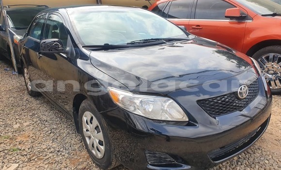 Buy Used Toyota Corolla Blue Car in Luanda in Luanda Province