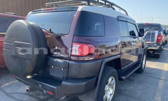 Buy Used Toyota FJ Cruiser Other Car in Luanda in Luanda Province Buy Used Toyota FJ Cruiser Other Car in Luanda in Luanda Province