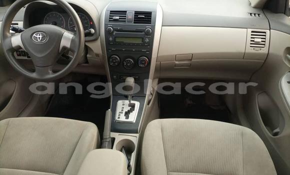 Acheter Occasion Voiture Toyota Corolla Autre à Luanda, Province de Luanda Acheter Occasion Voiture Toyota Corolla Autre à Luanda, Province de Luanda