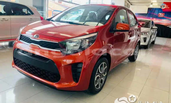 Comprar Usado Kia Picanto Outro Carro em Luanda em Luanda Province Comprar Usado Kia Picanto Outro Carro em Luanda em Luanda Province