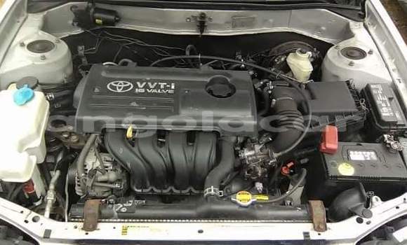 Acheter Occasion Voiture Toyota Corolla Autre à Luanda, Province de Luanda Acheter Occasion Voiture Toyota Corolla Autre à Luanda, Province de Luanda