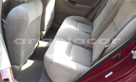Acheter Occasion Voiture Toyota Corolla Rouge à Luanda, Province de Luanda Acheter Occasion Voiture Toyota Corolla Rouge à Luanda, Province de Luanda