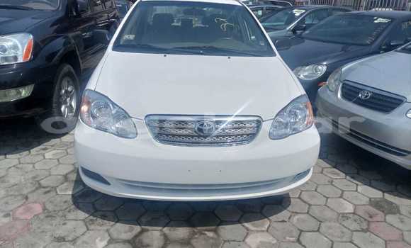 Comprar Usado Toyota Corolla Branco Carro em Luanda em Luanda Province Comprar Usado Toyota Corolla Branco Carro em Luanda em Luanda Province