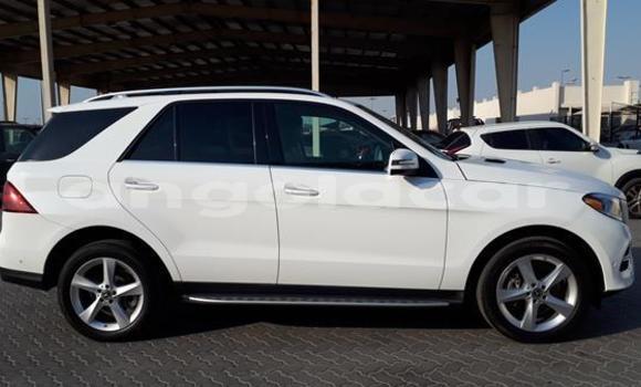 Buy Used Mercedes-Benz GLE White Car in Luau in Moxico Buy Used Mercedes-Benz GLE White Car in Luau in Moxico