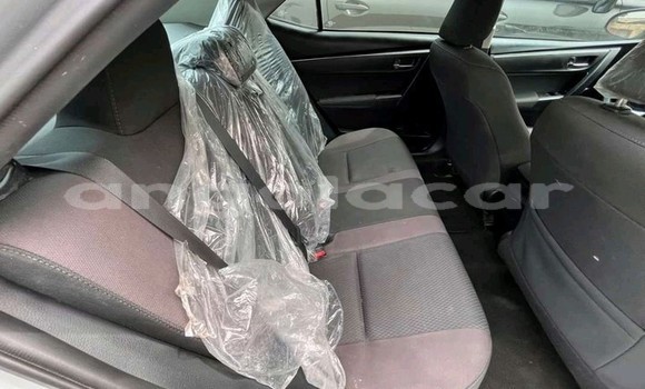 Acheter Occasion Voiture Toyota Corolla Gris à Luanda, Province de Luanda Acheter Occasion Voiture Toyota Corolla Gris à Luanda, Province de Luanda