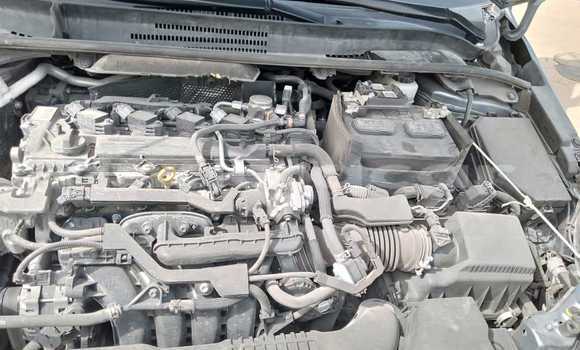 Buy Used Toyota Corolla Other Car in Luanda in Luanda Province Buy Used Toyota Corolla Other Car in Luanda in Luanda Province