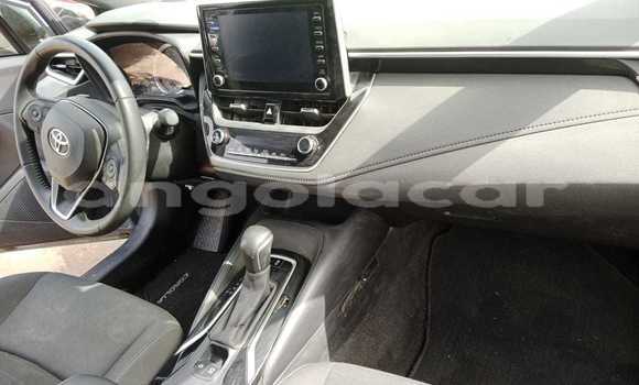 Buy Used Toyota Corolla Other Car in Luanda in Luanda Province Buy Used Toyota Corolla Other Car in Luanda in Luanda Province