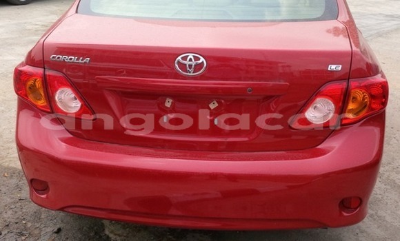 Comprar Usado Toyota Corolla Vermelho Carro em Luanda em Luanda Province Comprar Usado Toyota Corolla Vermelho Carro em Luanda em Luanda Province