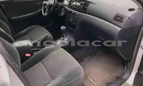 Acheter Occasion Voiture Toyota Corolla Autre à Luanda, Province de Luanda Acheter Occasion Voiture Toyota Corolla Autre à Luanda, Province de Luanda
